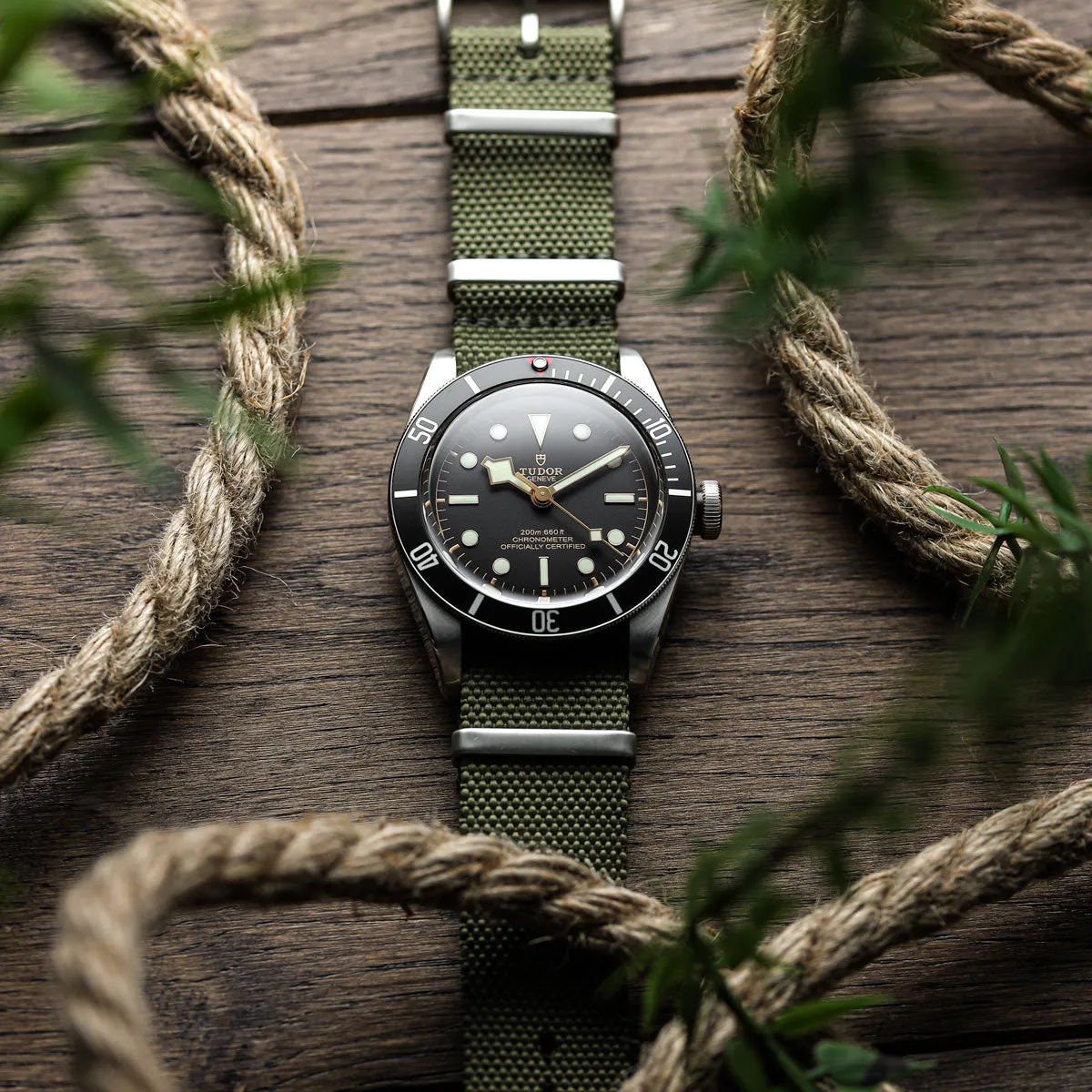 1973 British Military Watch Strap: WARRIOR - Sandhurst