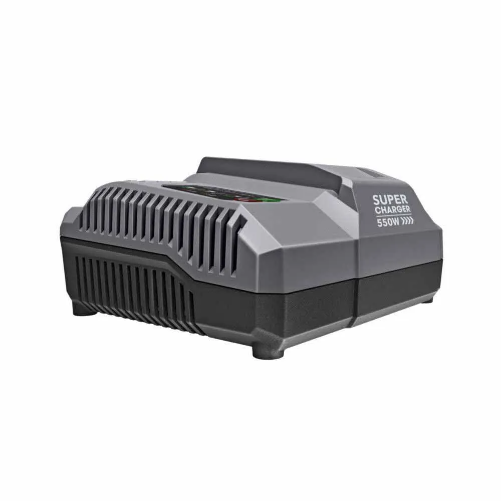 Flex FX0431-Z 550W Super Charger