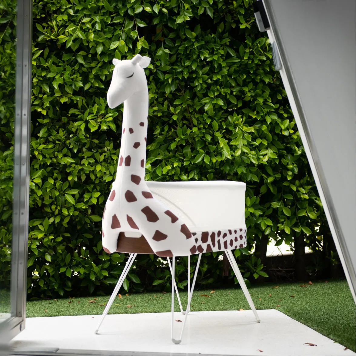 SNOO Zoo Giraffe