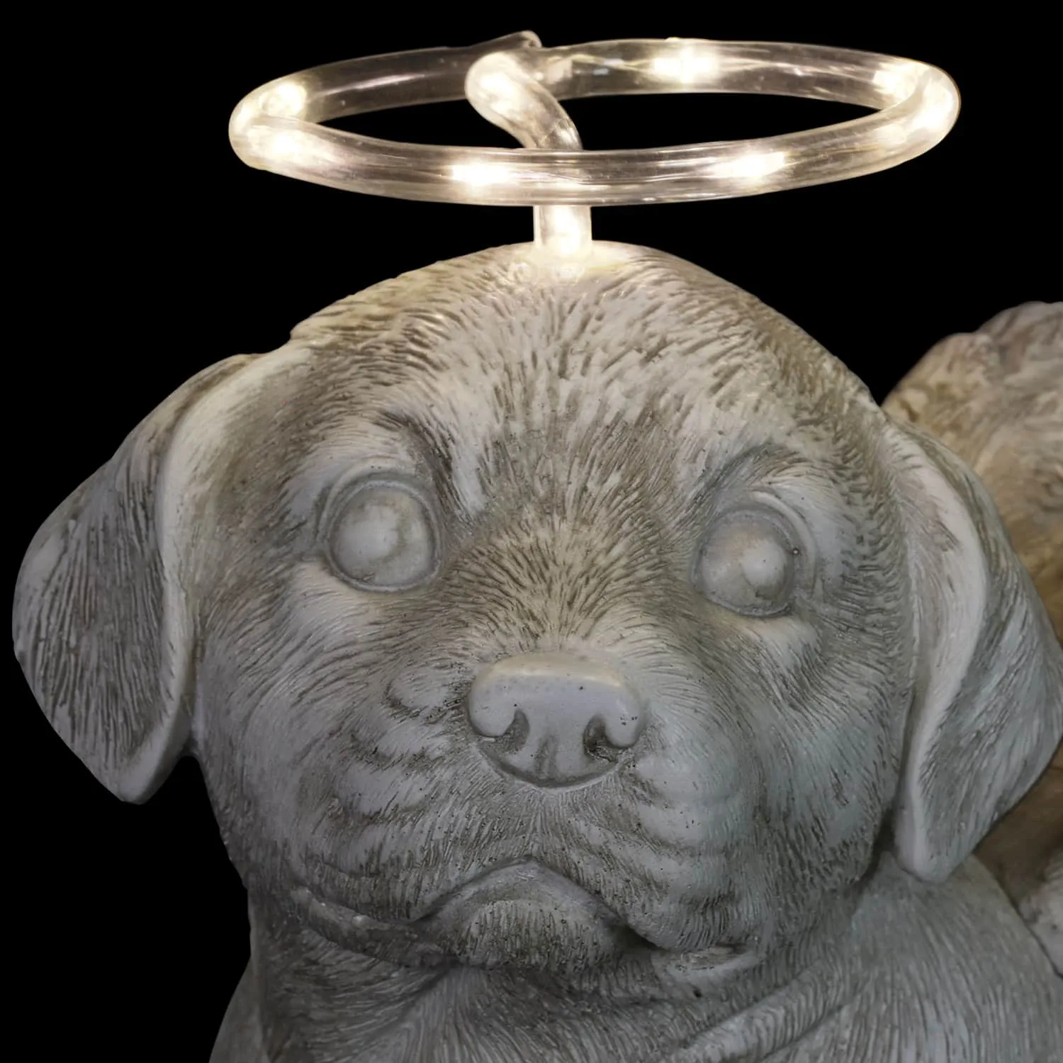 Solar Halo Dog with Angel Wings Memorial Statue, 10 Inch